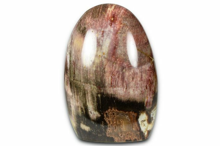 Free-Standing, Polished Petrified Wood - Madagascar #376102